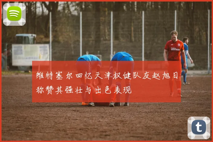 维特塞尔回忆天津权健队友赵旭日称赞其强壮与出色表现