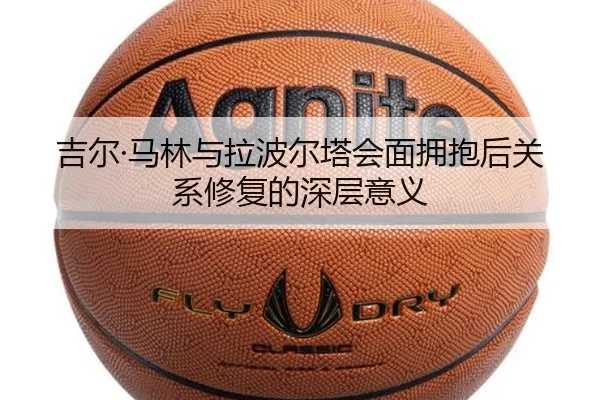 吉尔·马林与拉波尔塔会面拥抱后关系修复的深层意义